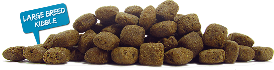 Canadian Naturals Large Breed Kibble